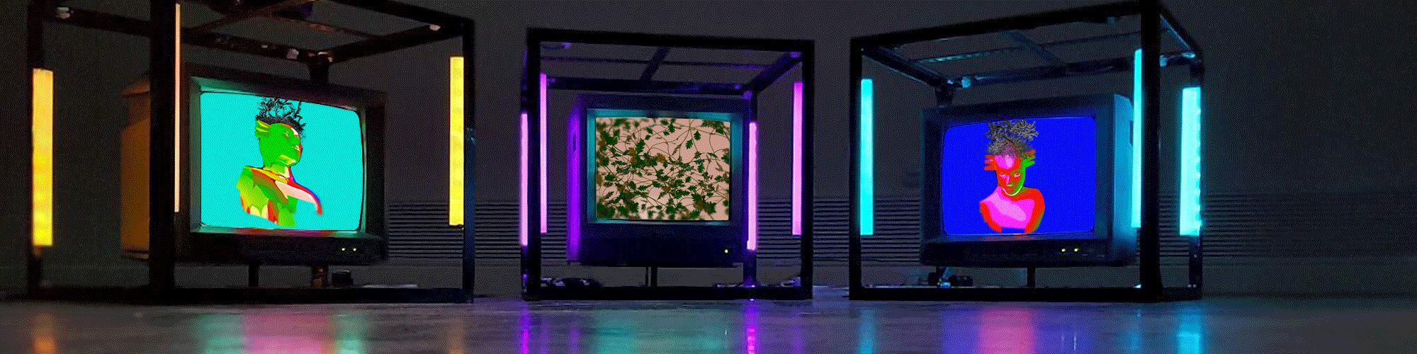 Animated gif image of artworks by artist Milad Forouzandeh. the image shows three cube tvs each displaying a still image from the video work. From left to right the images on the screens are of a human head on a baby blue background, a map territory with natural elements and trees, and a pink human bust on a deep blue background.